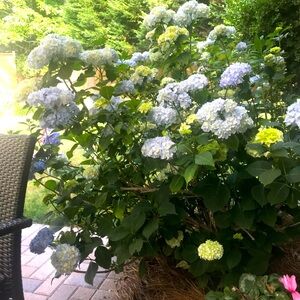 Meet your Posher, Gabriella